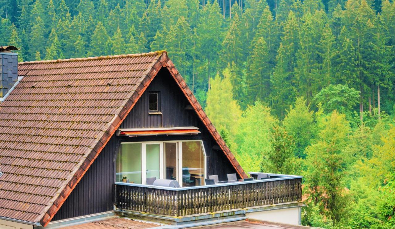 Ferienwohnungen Und Ferienhaus Hafermarkt Wildemann Exteriér fotografie