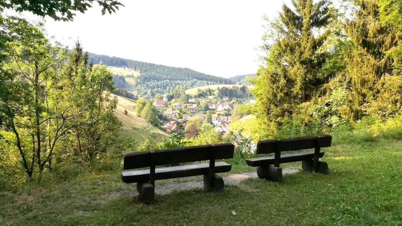 Ferienwohnungen Und Ferienhaus Hafermarkt Wildemann Exteriér fotografie
